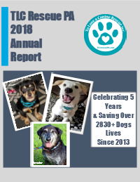 AnnualReports2018_1.png