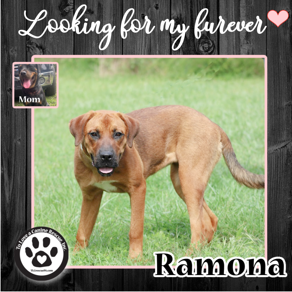 Ramona_copy_2.png