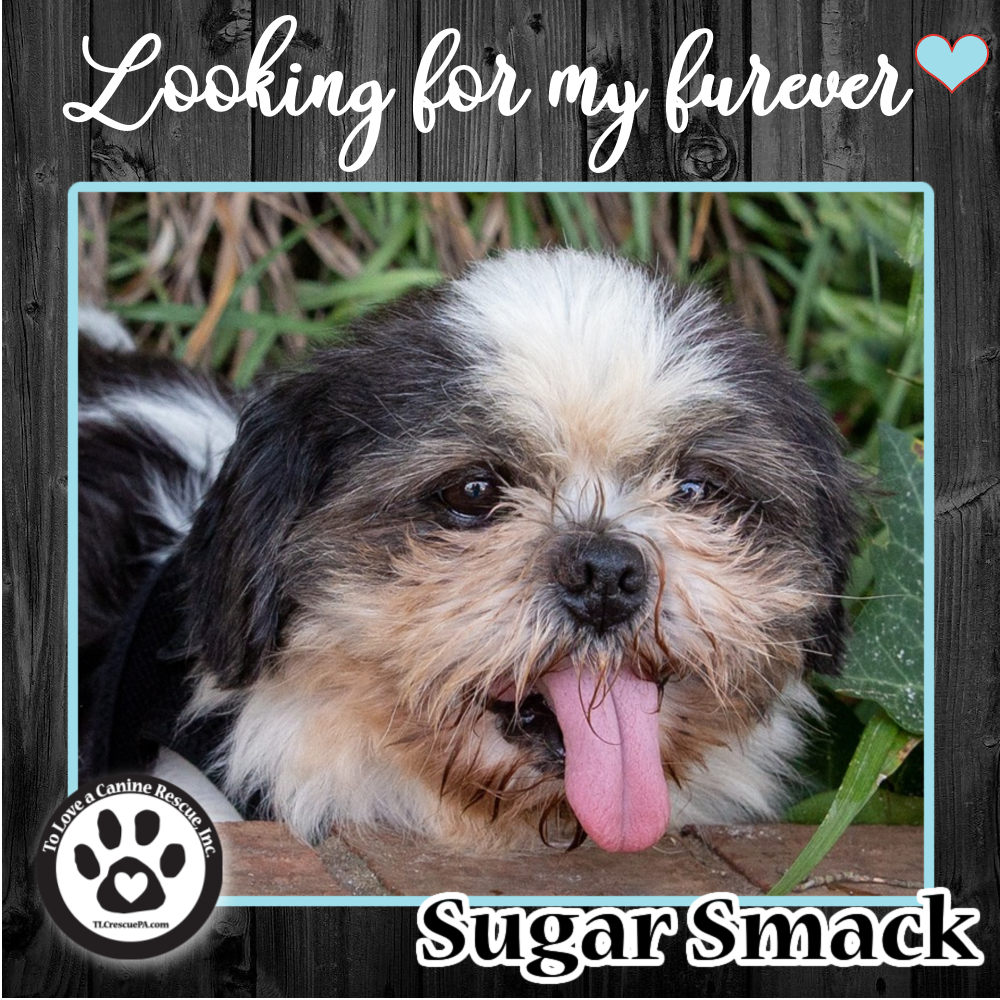 Sugar_Smack_copy_8.png