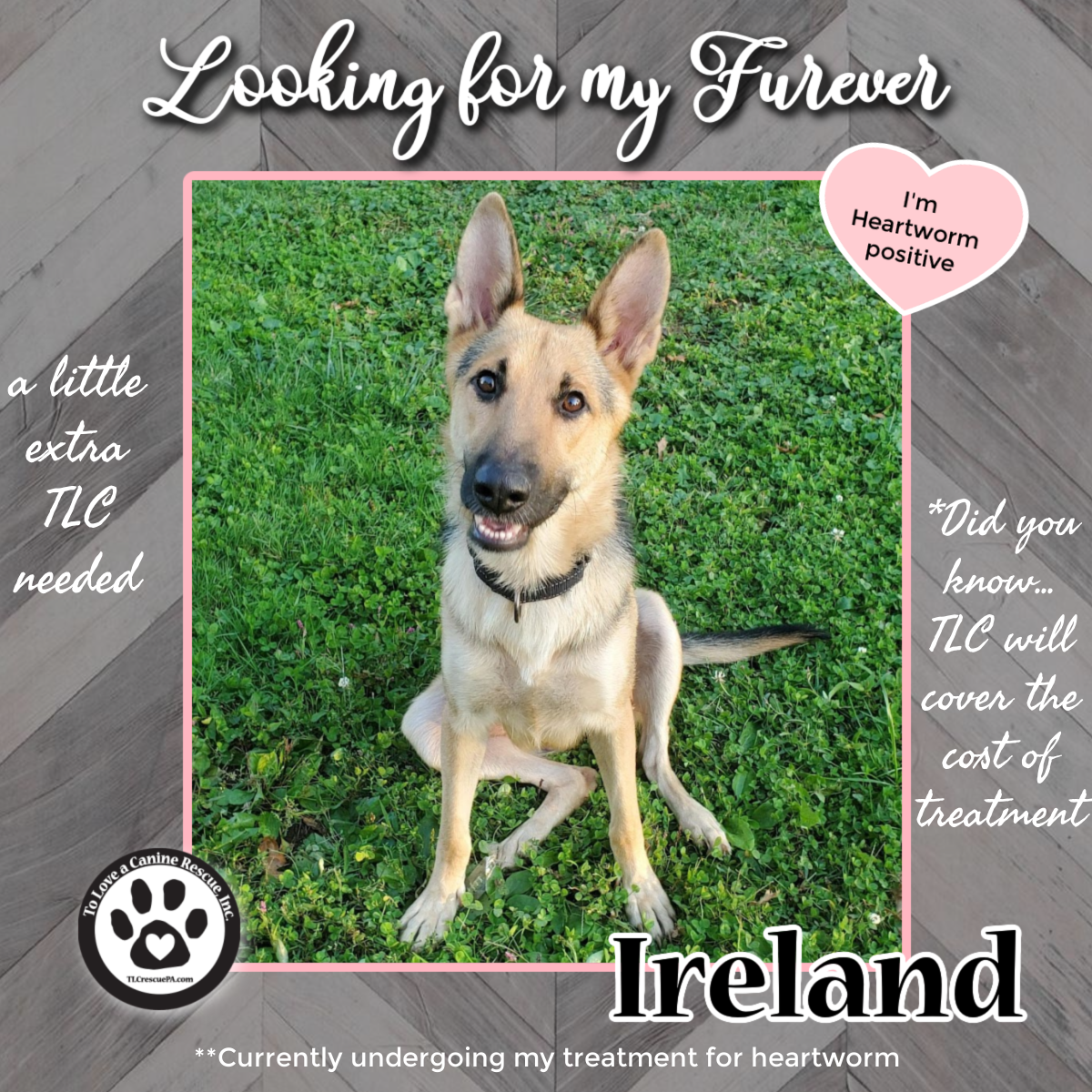 extratlcfeed-navigation-ireland.png