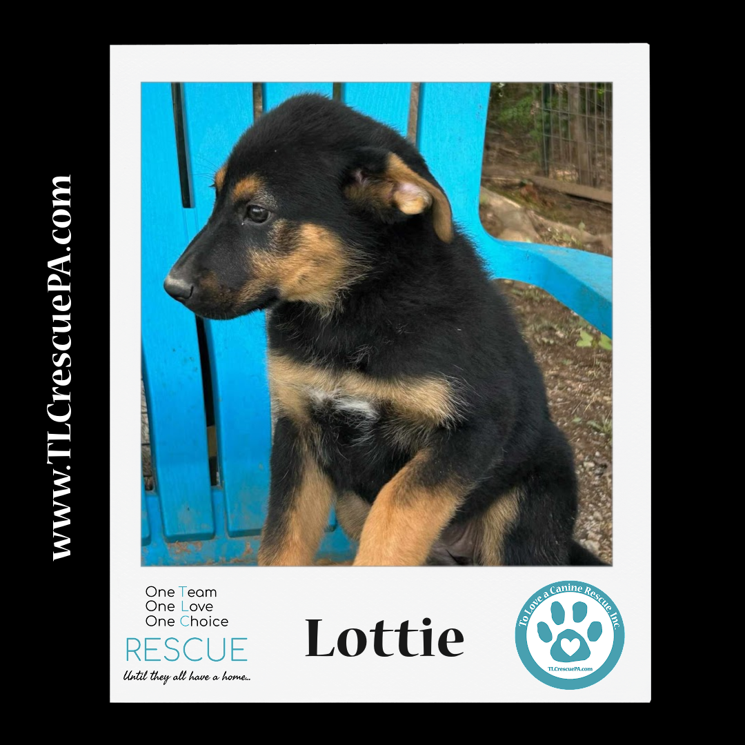 Lottie.png