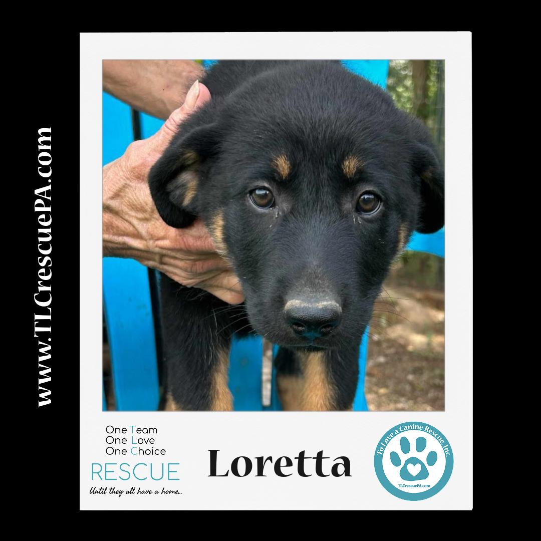 Loretta.png