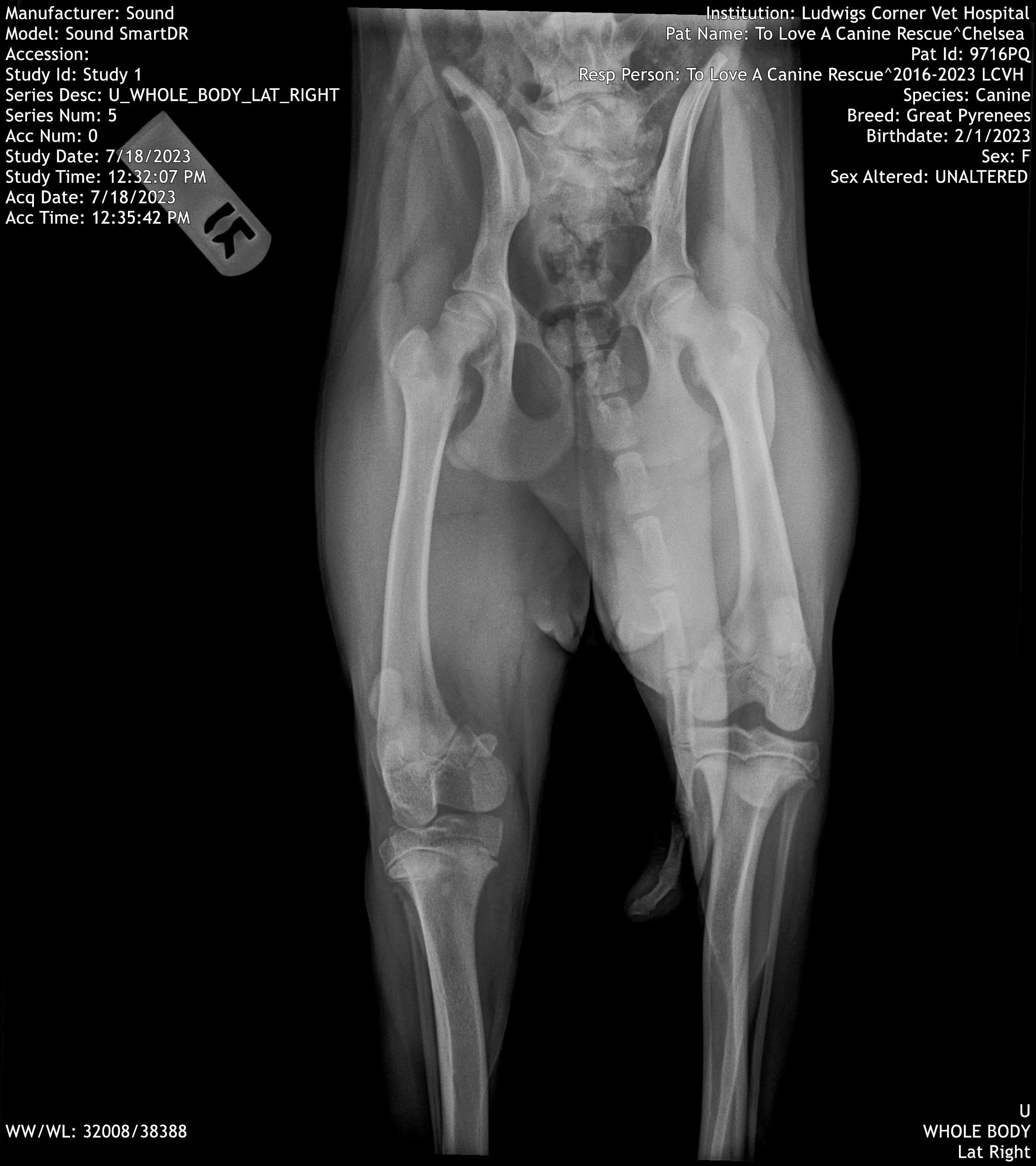barkingbackblog-blogpost-body-IMG18.jpg