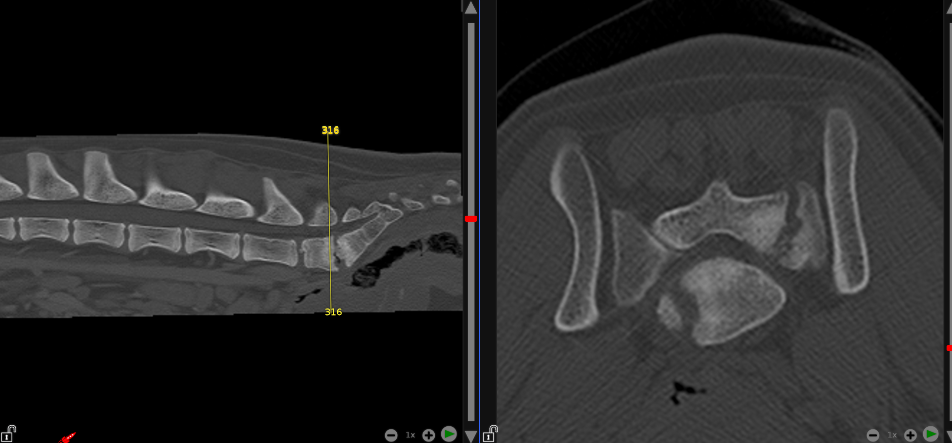 barkingbackblog-blogpost-body-Chelsea CT Scan 1.png