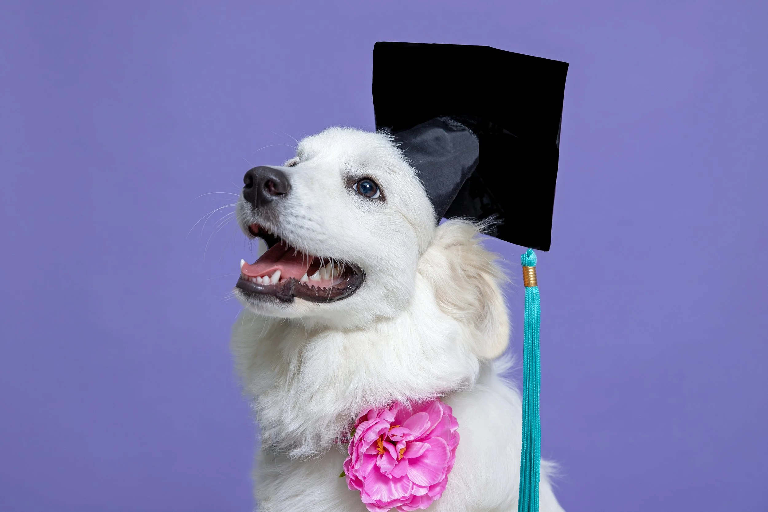 Happy birthday to ME!