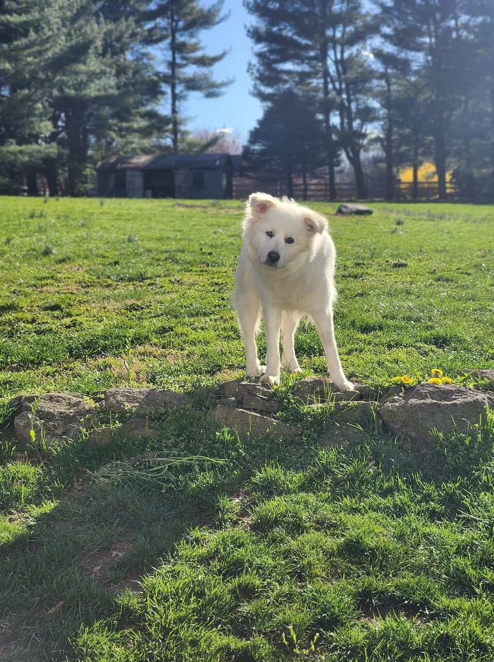 Image 1504.0x2015.jpg