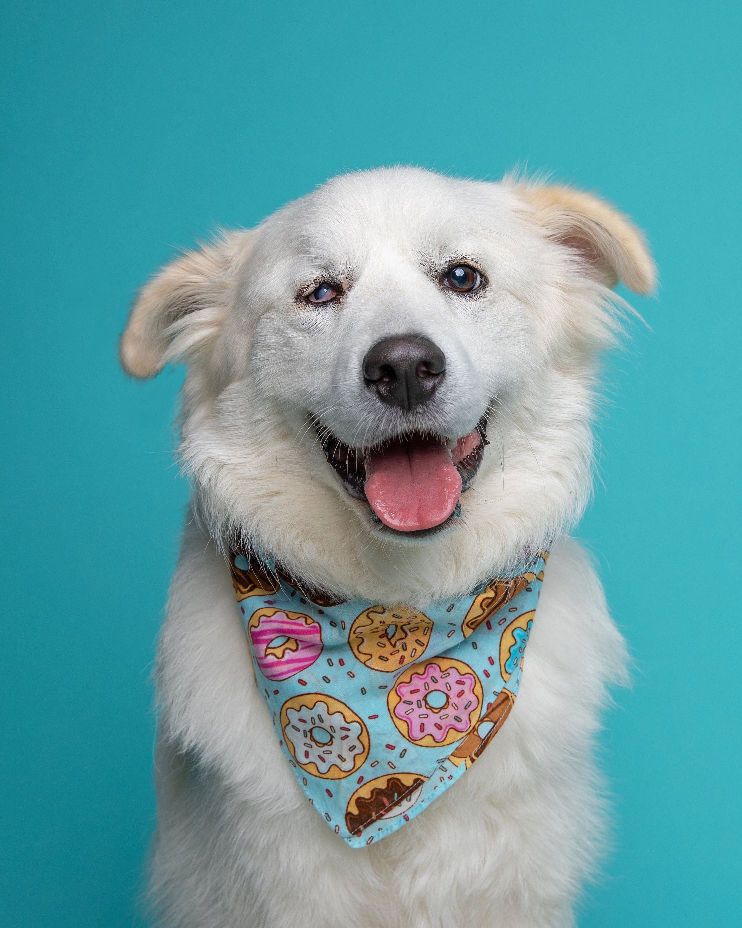 One Year of Chelsea!