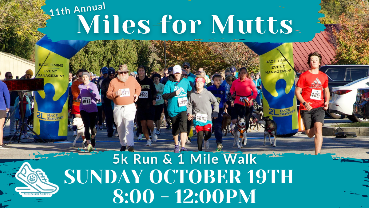 11th Annual Miles for Mutts 5k Run & 1 Mile Walk