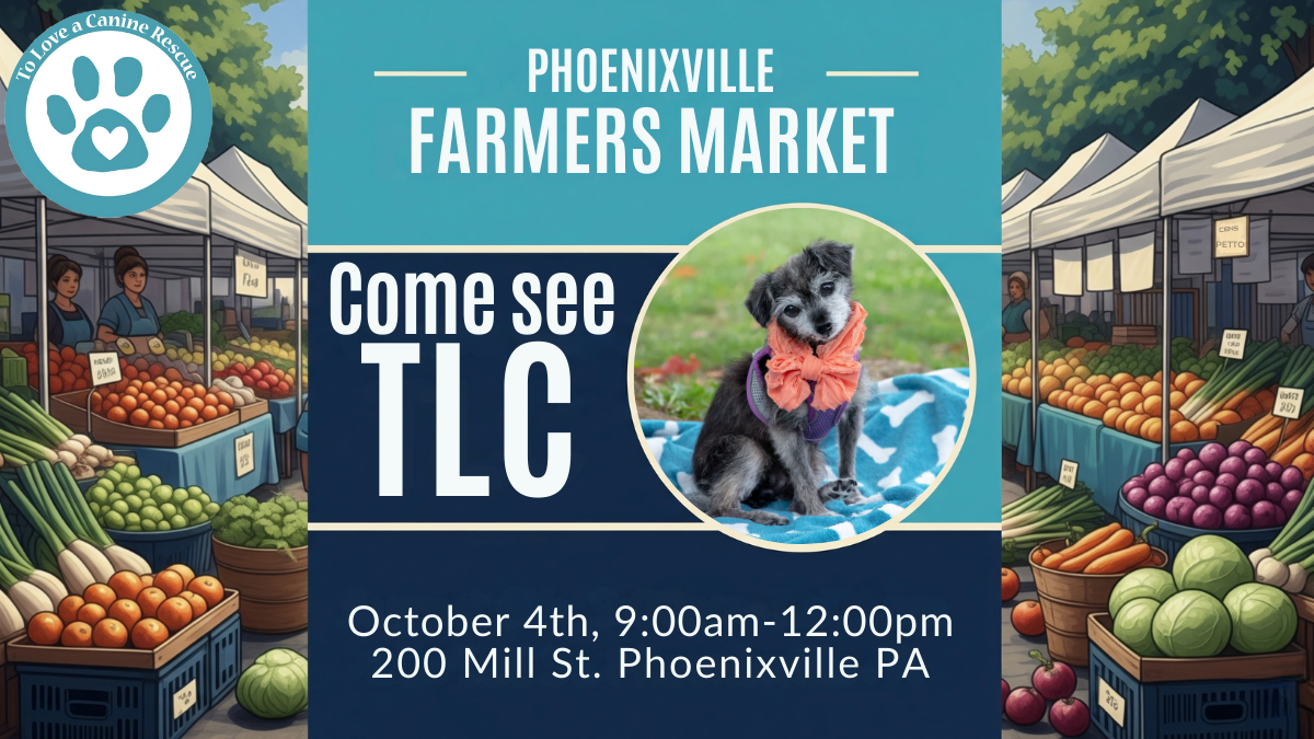 Phoenixville Farmers Market