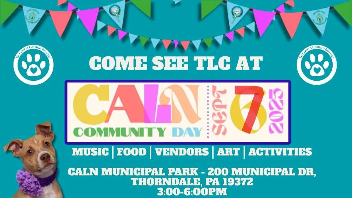 Caln Community Day (RESCHEDULED - Sept 7)