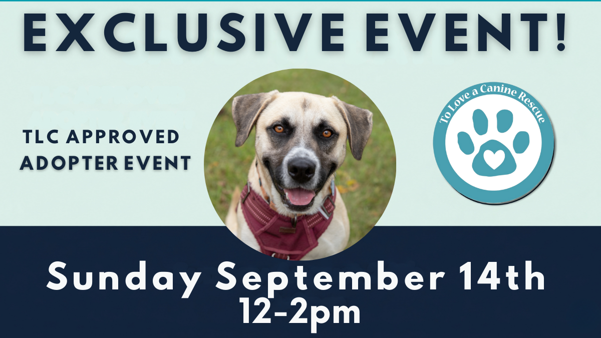 Exclusive TLC Approved Adopter Event