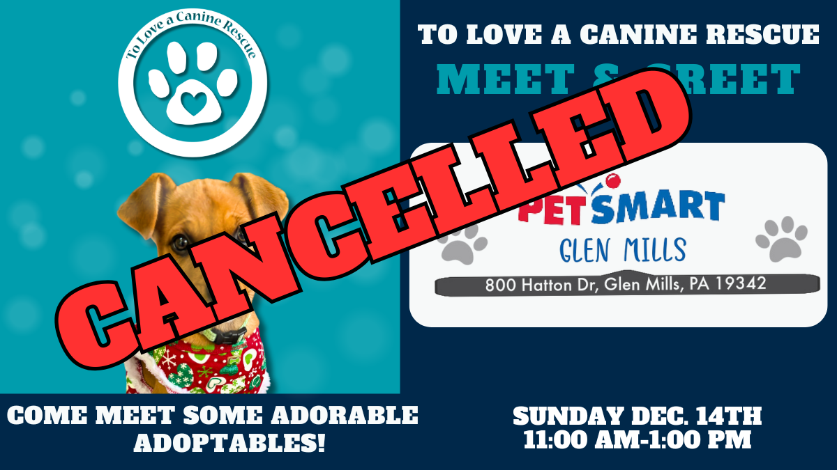 PetSmart - Glen Mills