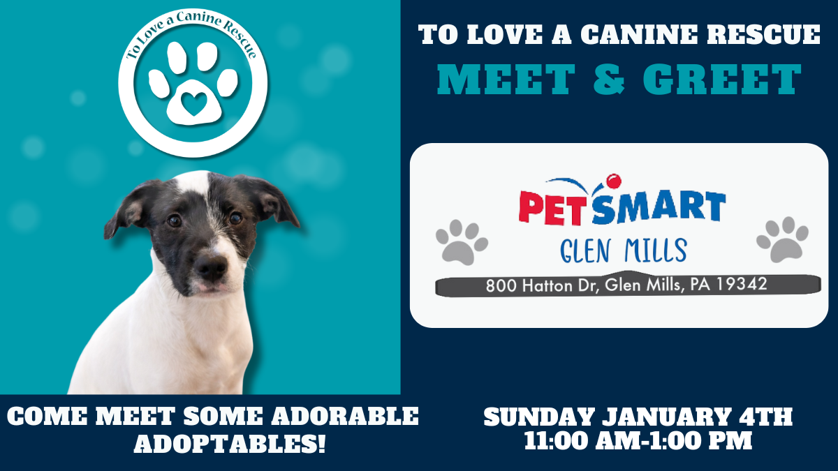 PetSmart - Glen Mills