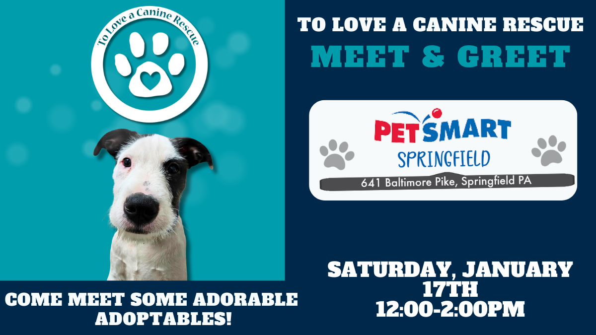 PetSmart - Springfield