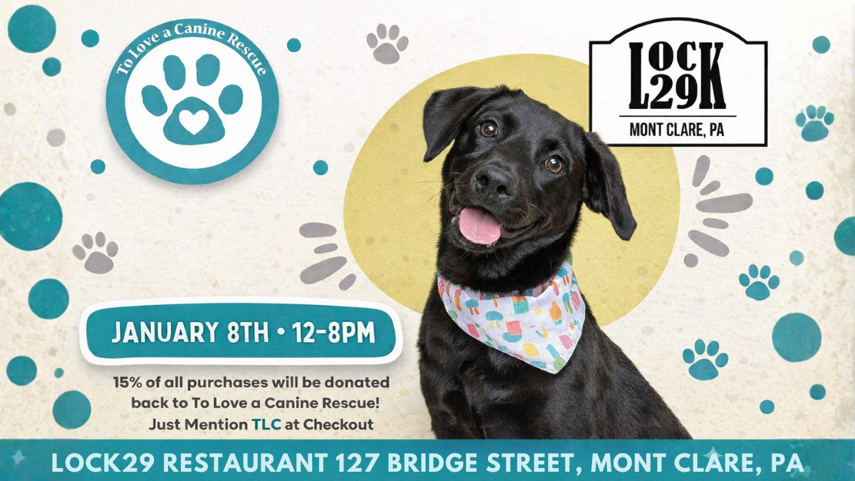 Lock 29 - Dine and Donate