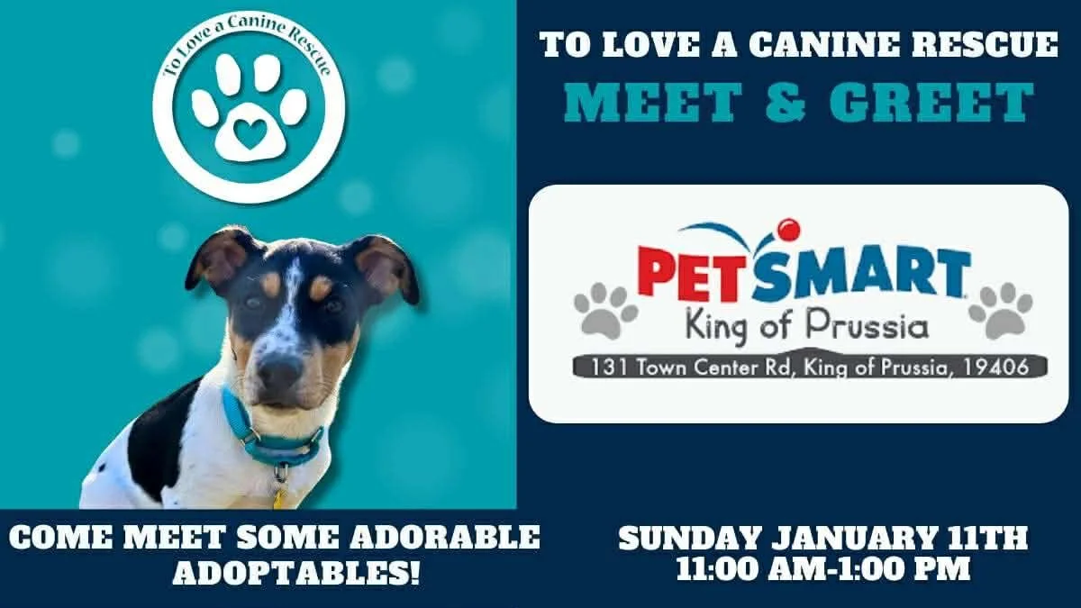 PetSmart King of Prussia