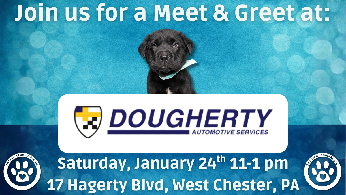 Dougherty Automotive Services - Meet and Greet