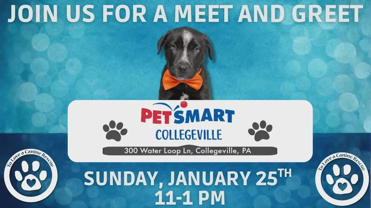 PetSmart - Collegeville