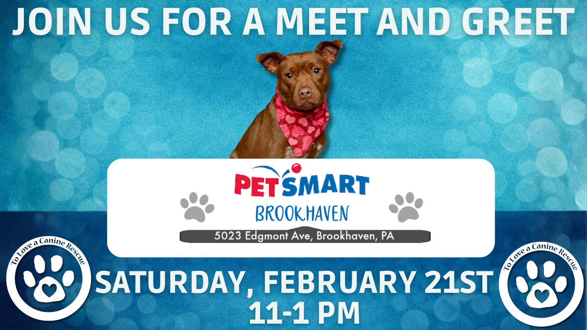 PetSmart - Brookhaven