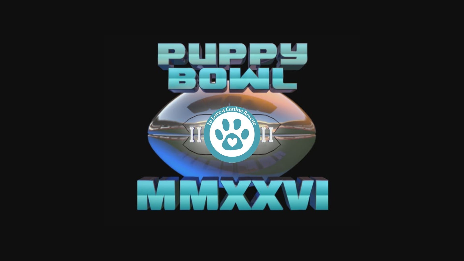 Puppy Bowl 