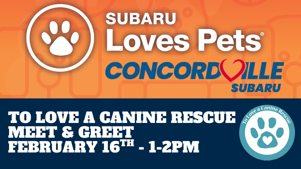 Subaru Loves Pets - Concordville Subaru
