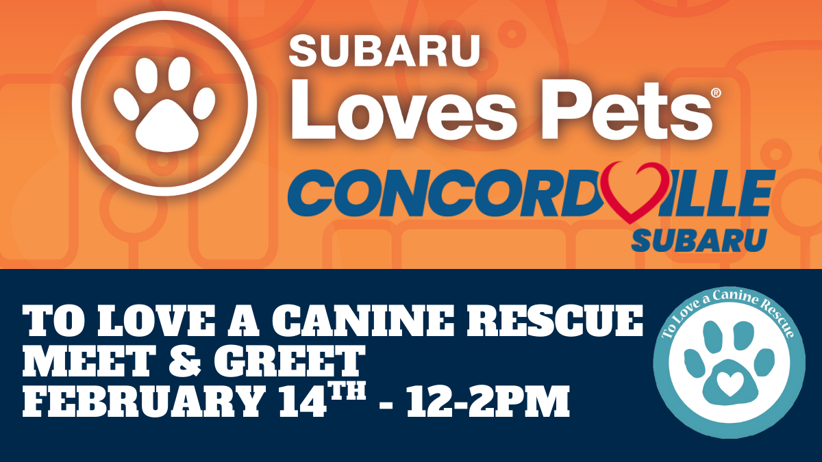 Subaru Loves Pets - Concordville Subaru