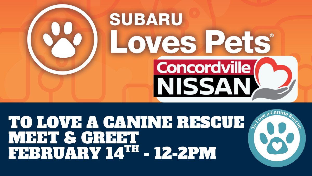Subaru Loves Pets - Concordville Nissan
