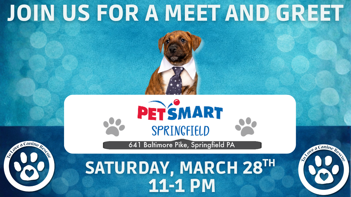 PetSmart - Springfield