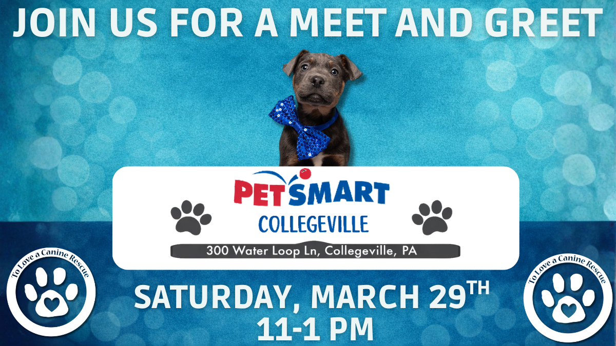 PetSmart - Collegeville