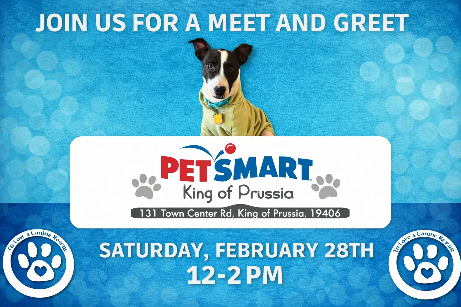 PetSmart - King of Prussia