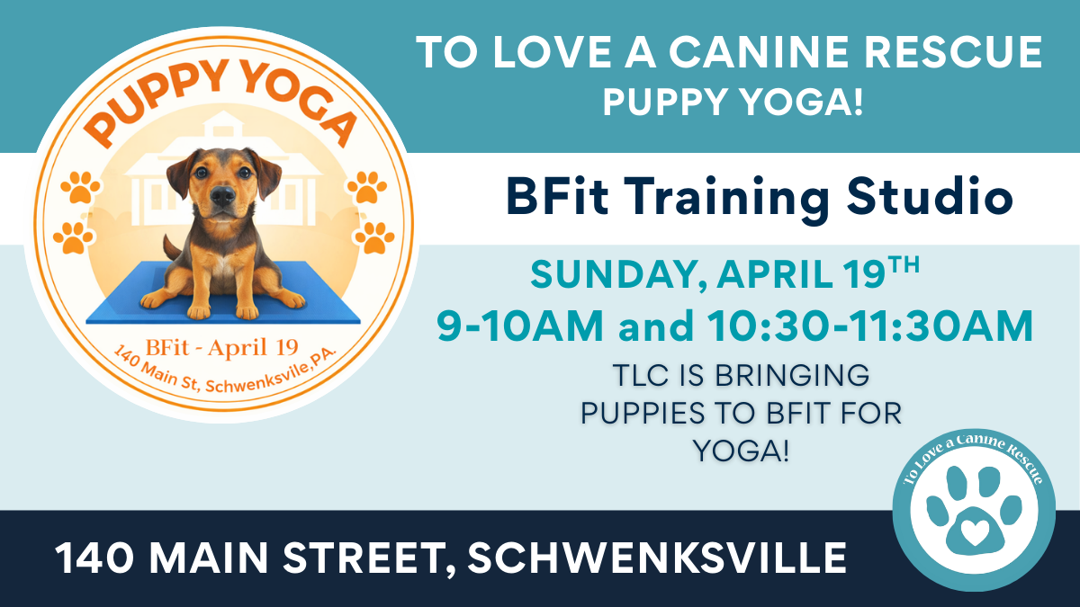 BFit Training Studio - Puppy Yoga