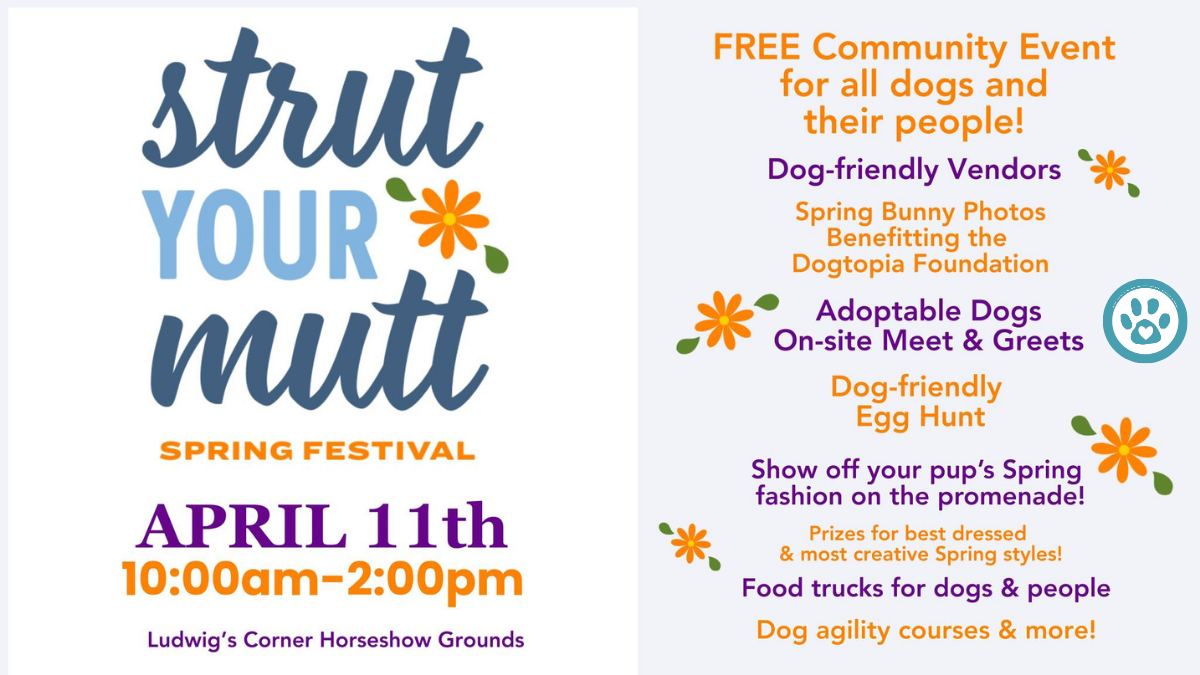 Strut Your Mutt Spring Festival