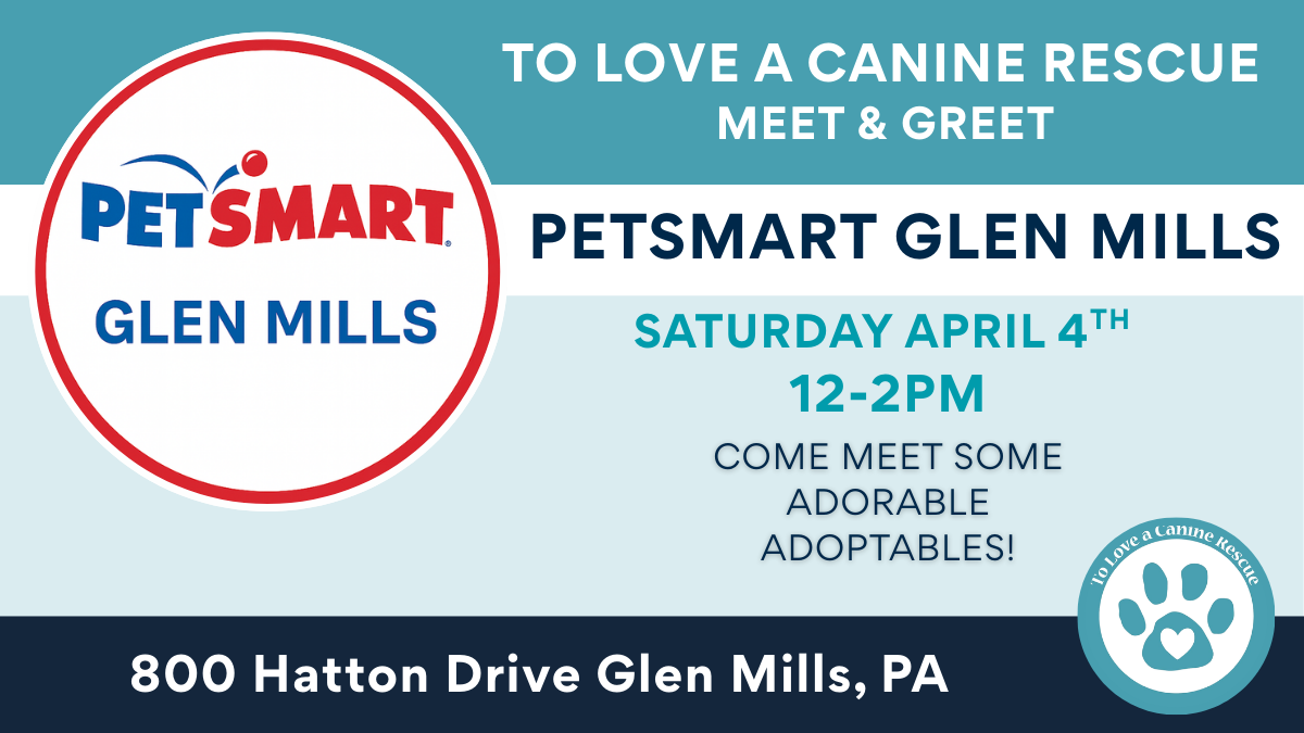 PetSmart - Glen Mills 