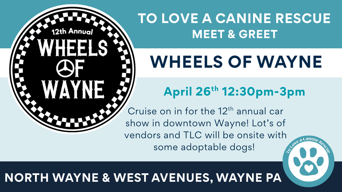 Wheels of Wayne