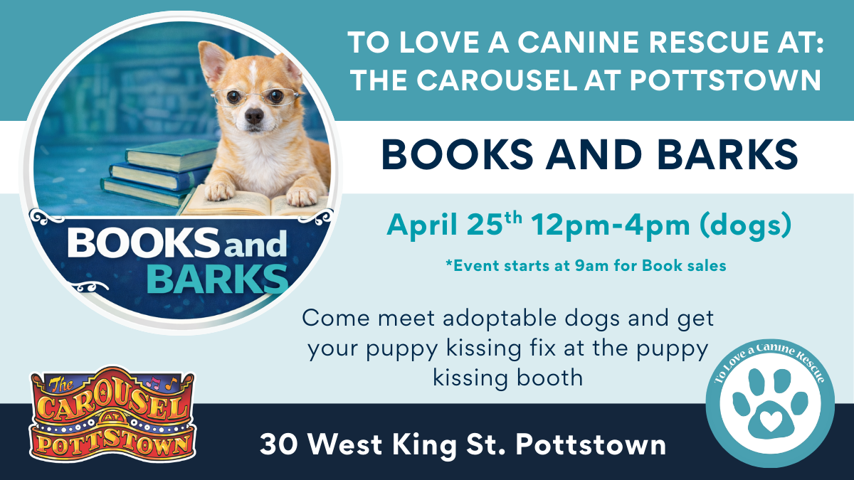Books and Barks - The Carousel