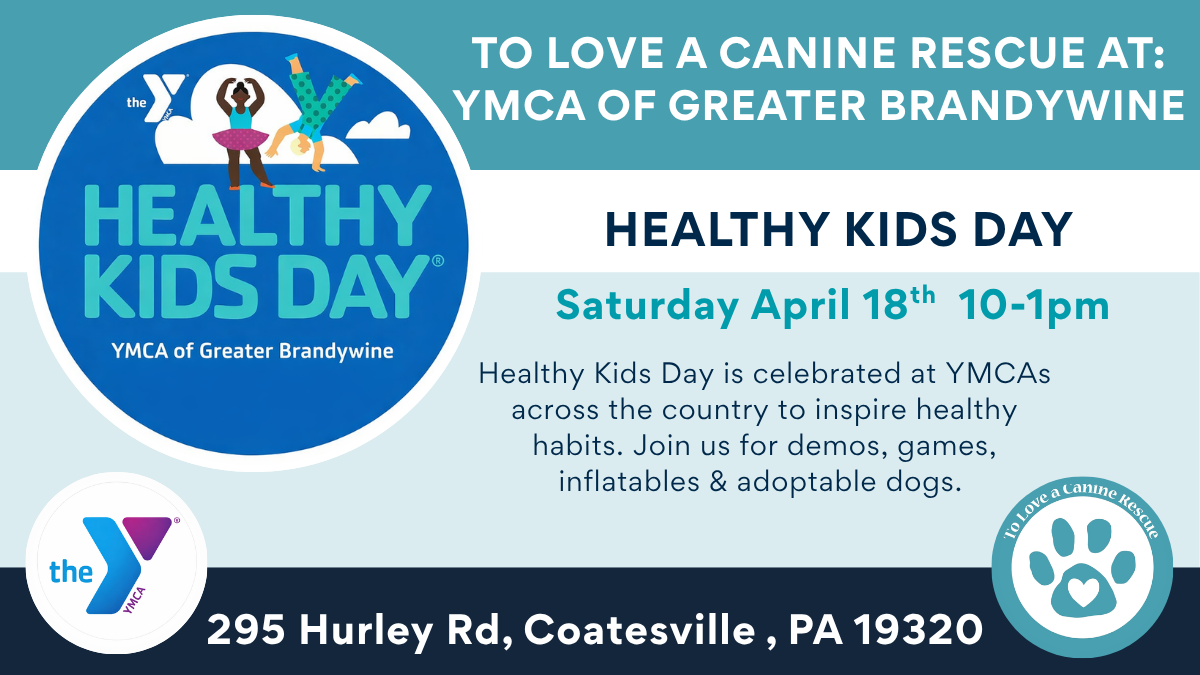 Healthy Kids Day - YMCA - Greater Brandywine