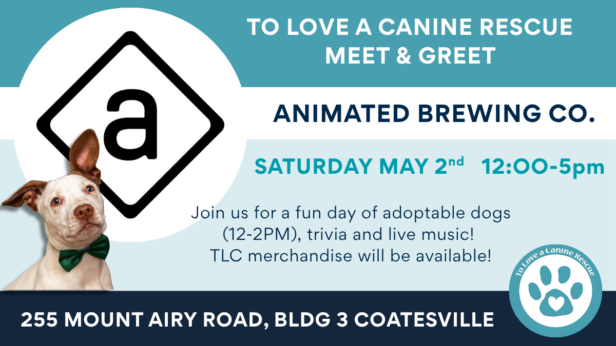 Animated Brewing - Trivia and Meet & Greet