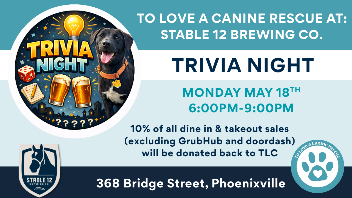 Stable 12 Brewing Co. - Trivia Night