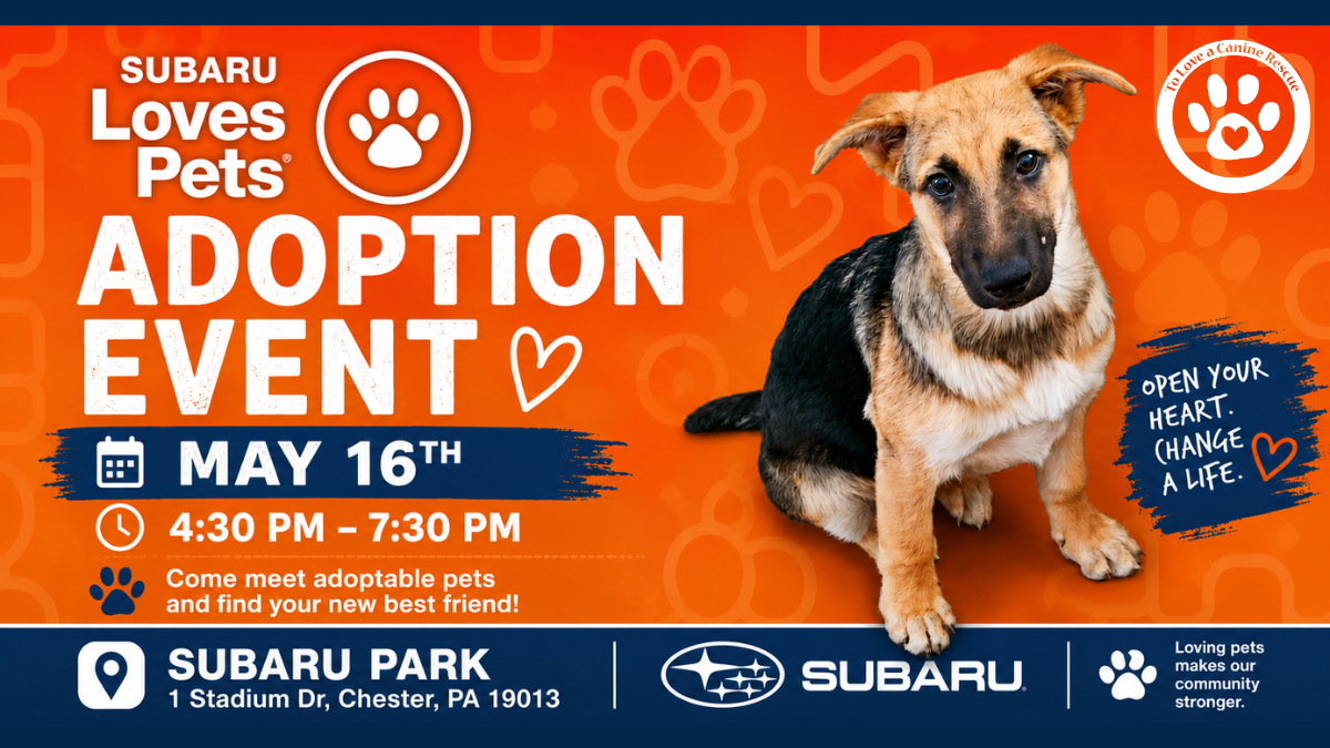 Subaru Loves Pets dog adoption event