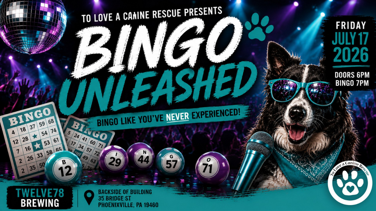Bingo Unleashed 