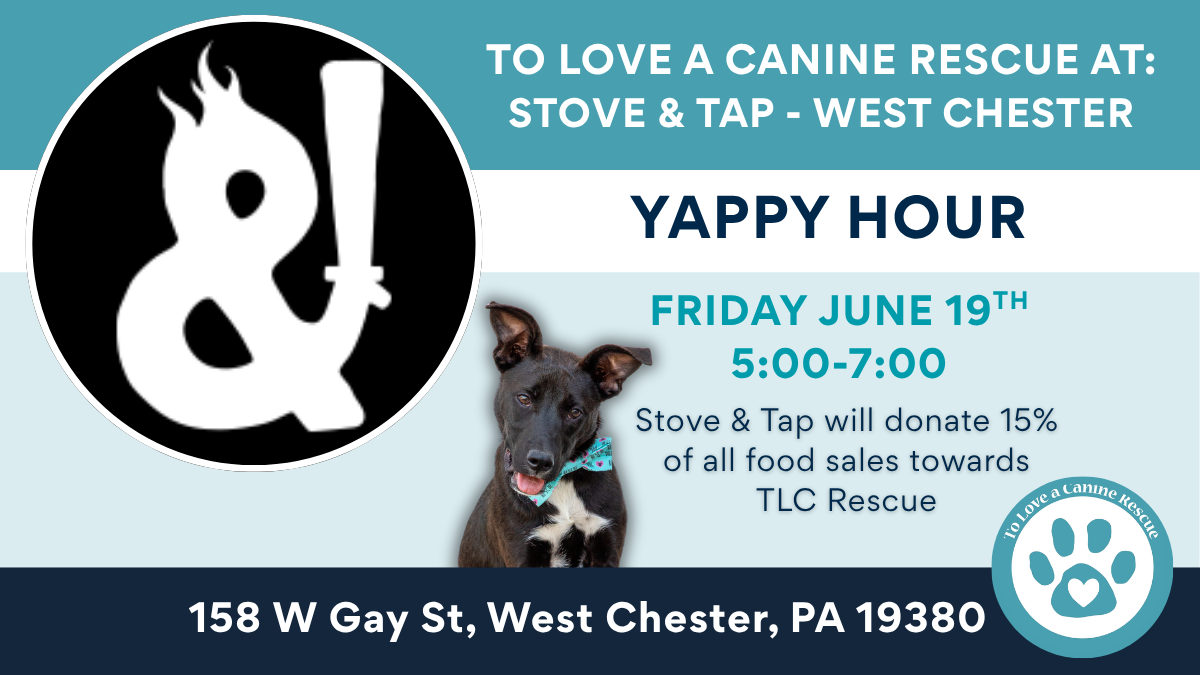Yappy Hour at Stove and Tap 