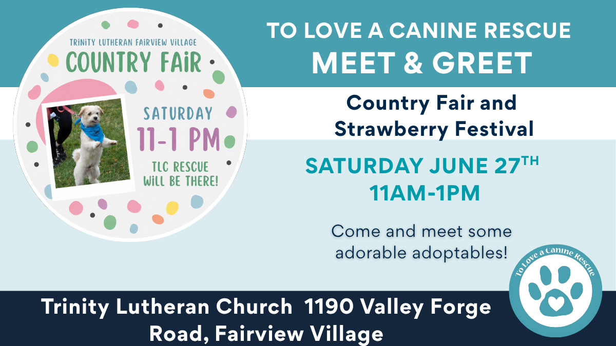 Meet & Greet - Country Fair & Strawberry Festival