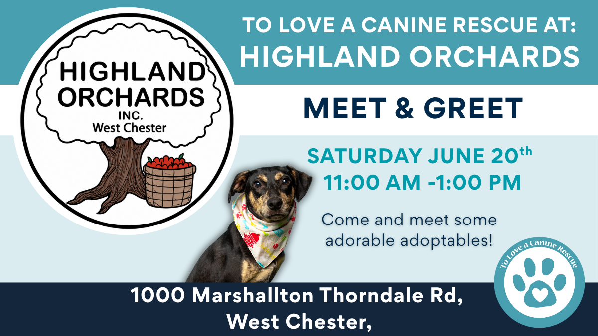 Meet & Greet - Highland Orchards