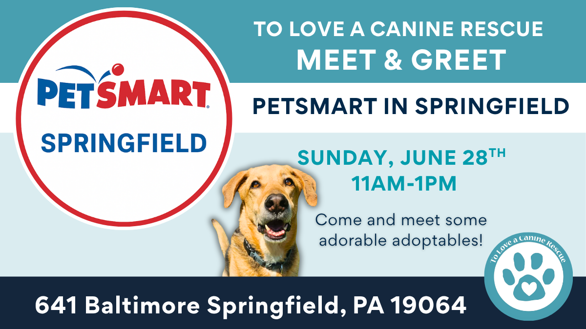 Meet & Greet - Petsmart Springfield
