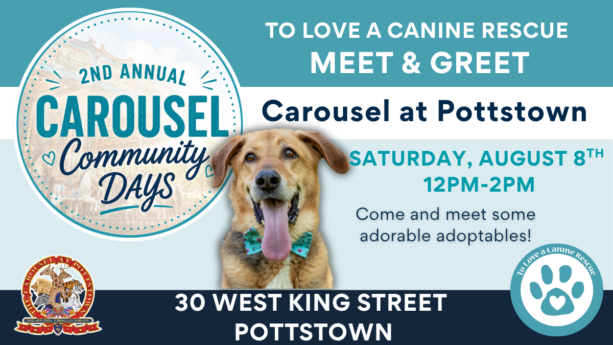 2nd Annual Carousel Community Day