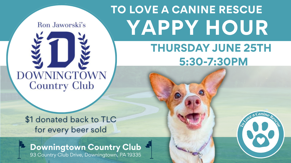 Yappy Hour at Downingtown Country Club 