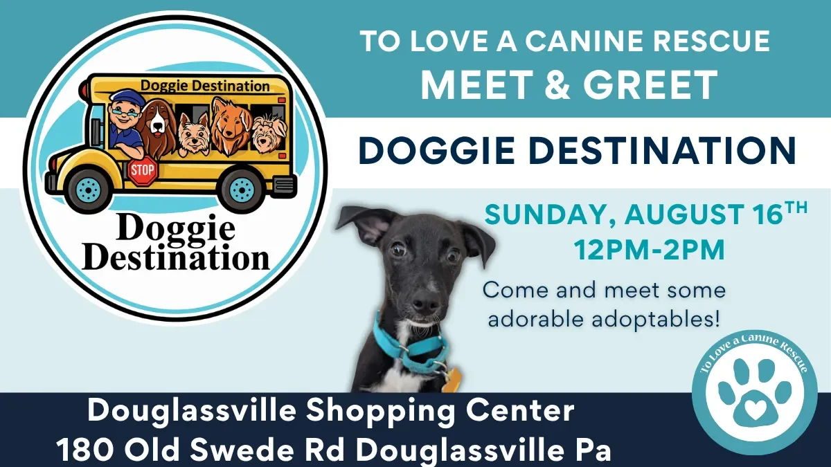 Doggie Destination (Douglassville)
