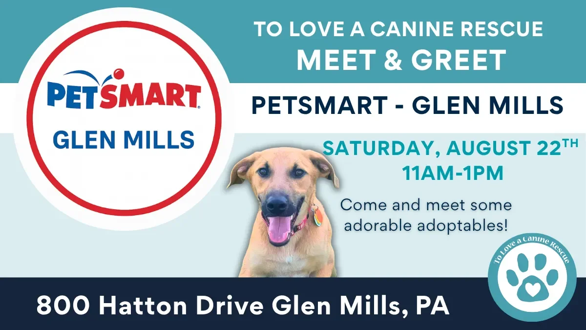 PetSmart - Glen Mills