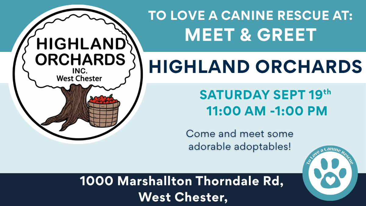 Highland Orchards
