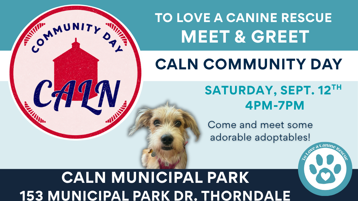 Caln Community Day